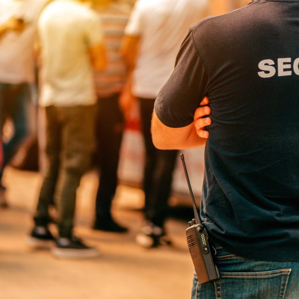 Security guard at live festivale event standing in front of the crowd